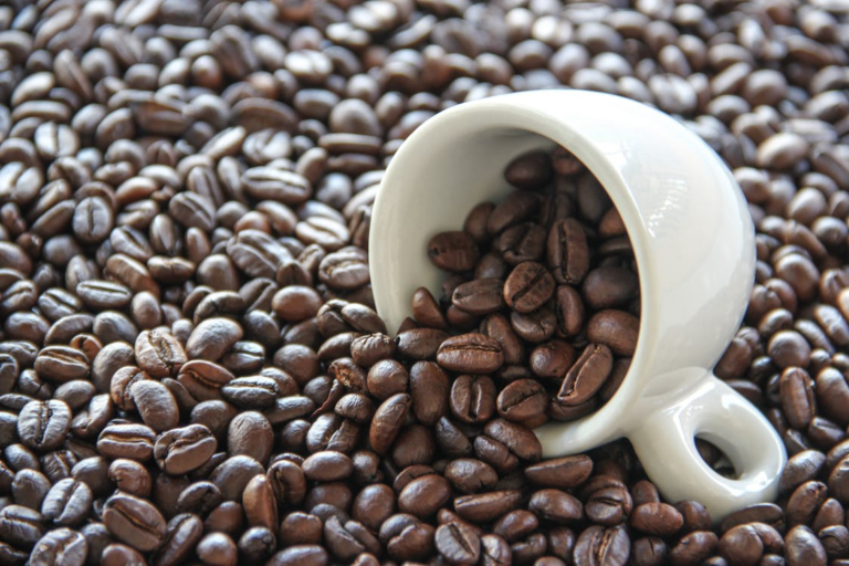 Organic Gourmet Coffee