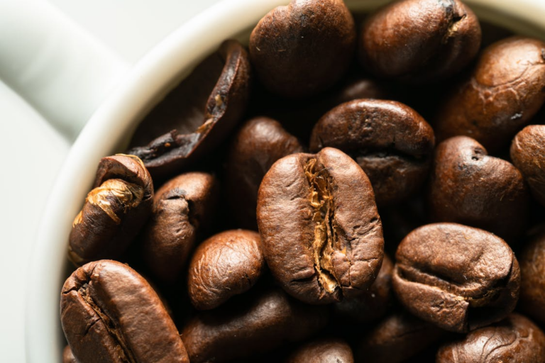 Best Light Roast Coffee Florida